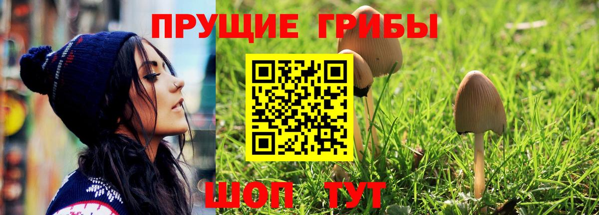 Ставрополь  Псилоцибиновые грибы Cubensis  Вход с VPN  Галлюциногенные грибы MAGIC MUSHROOMS 