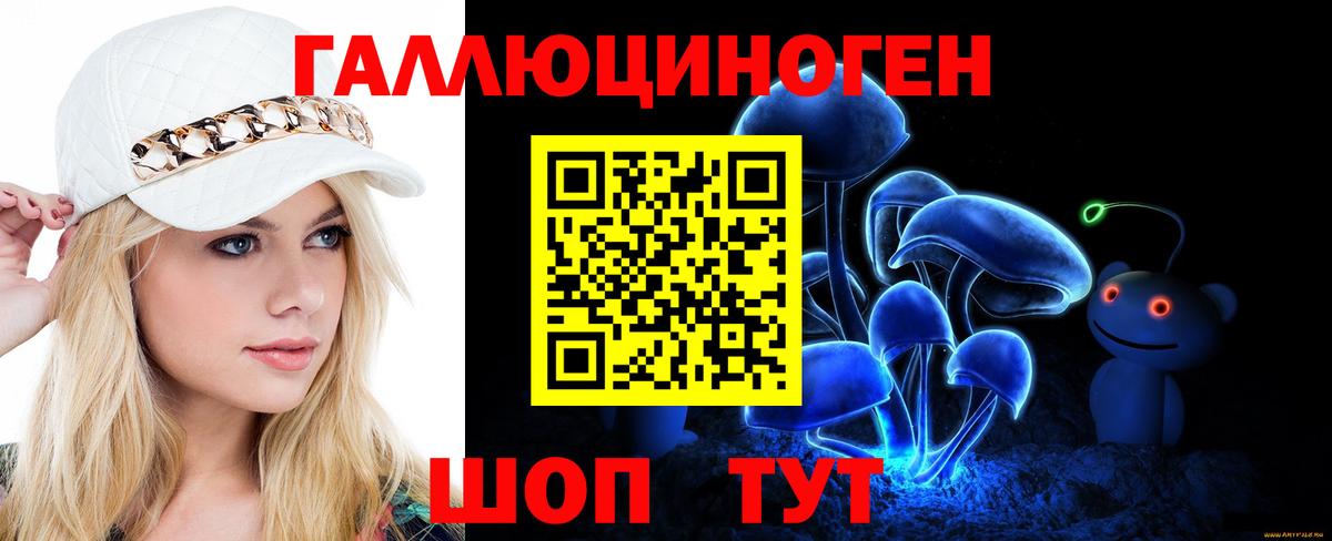 Галлюциногенные грибы Psilocybine cubensis Ставрополь